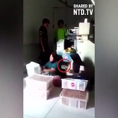 këto femra po që ia kanë marrë dorën punës