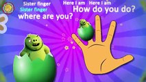 Angry Birds Easter Eggs Finger Family Nursery Rhymes. AngryBirds Finger Family Lyrics and More