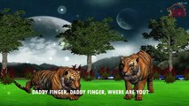 Gorilla Vs Tiger Animal Sounds Finger Family | Nursery rhymes | English Nursery Rhymes