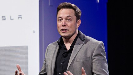 Elon Musk promises to fix South Australia’s electricity woes in 100 days