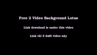 Free 2 Video background Flower Lotus