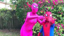 Superhero Superstars BURIED ALIVE! - Spiderman vs Joker with Frozen Elsa, Joker Girl, Gian