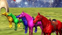 3D Color Horse Rhymes Horse Finger Family Nursery Rhymes For Children Colors Horse Song Fo