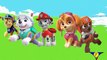 Paw Patrol 2 Finger Family Nursery Rhymes By KidsF