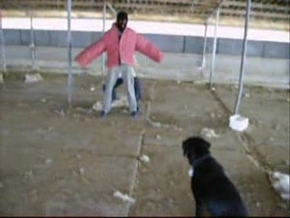 Rets,attaque au hangar