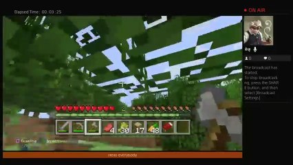 Playing with cousin  minecrft (5)