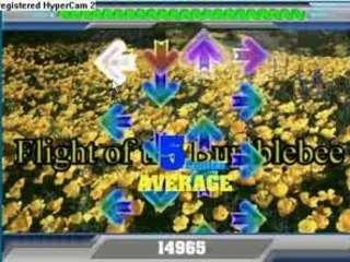 ffr - flight of the bumblebee - r0b1zzle137