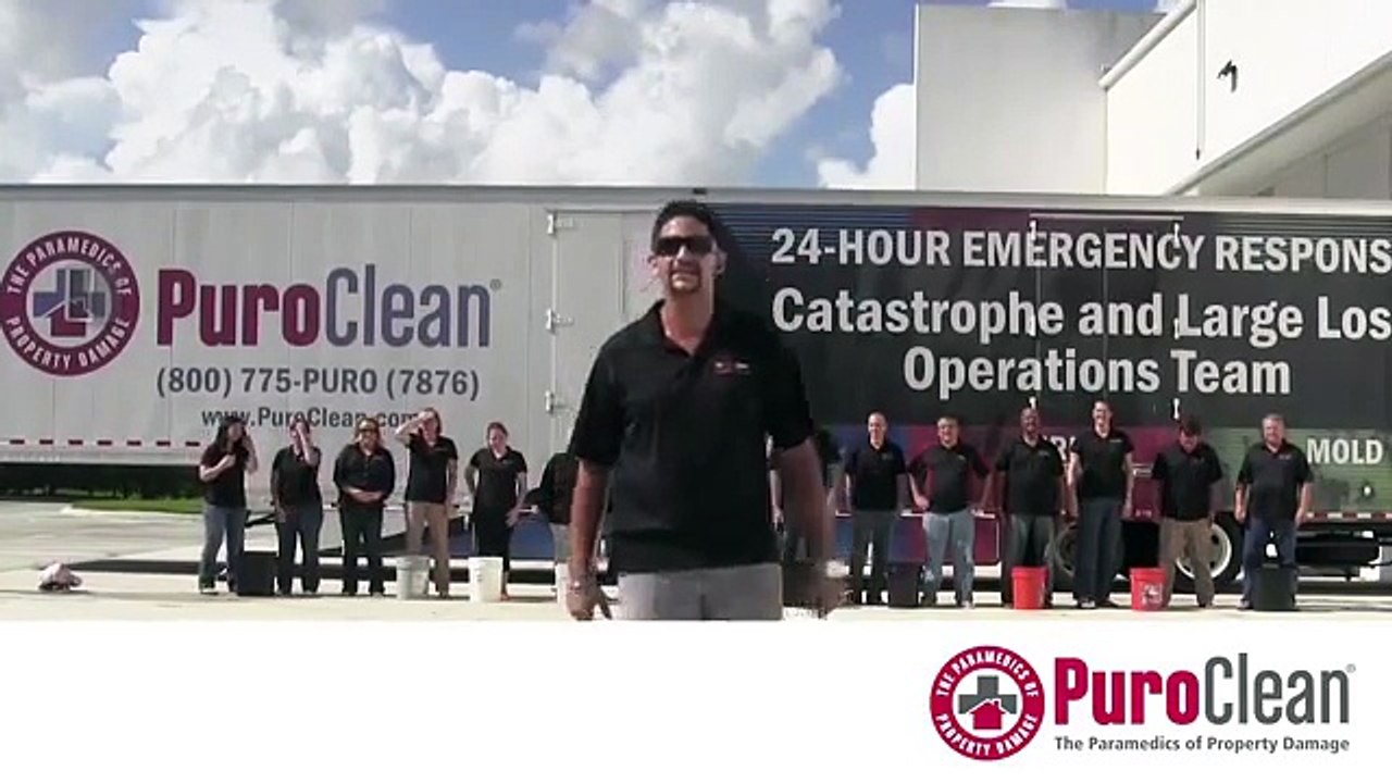 Mold Removal Services - Water Damage - Wyandotte - 734-225-2552