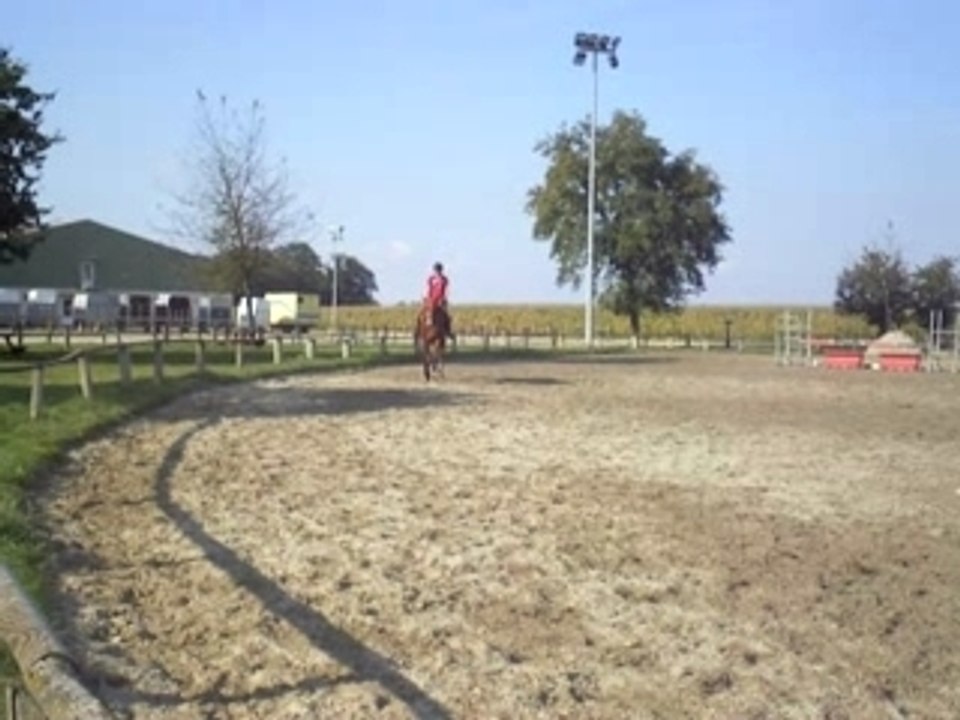 Master trot 1