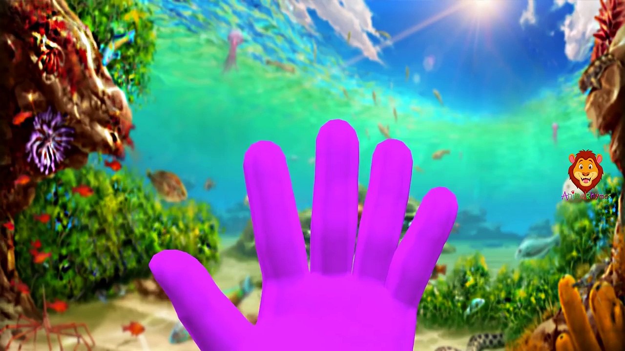 Shark Finger Family Song | Sea Animals Finger Family & More Nursery Rhymes Collection For