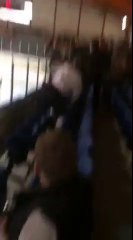 Télécharger la video: Un joueur de Hockey saute dans les tribunes pour éclater un supporter