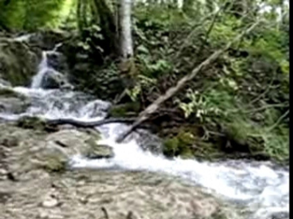 Les lacs de Plitvice Croatie