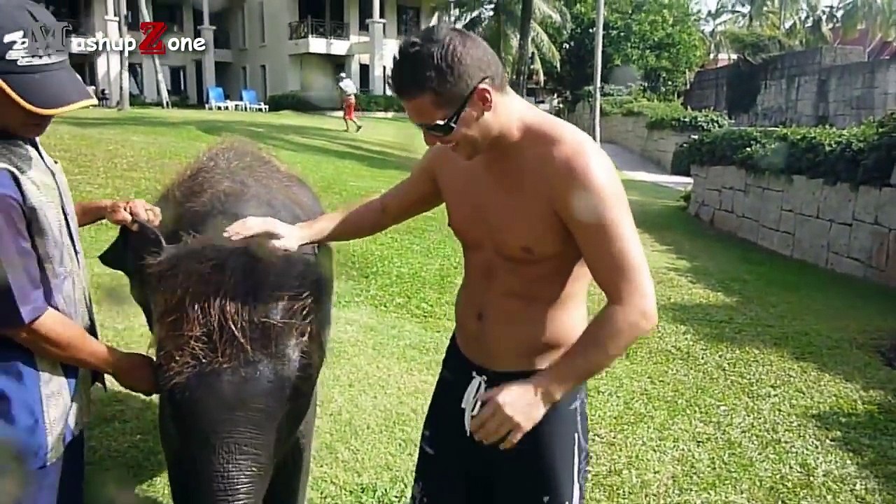 Cute Baby Elephant - A Cute And Funny Baby Elephant Videos Compilation -- NEW HD - YouTube