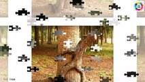 Funny Pictures ! Funny Trees Amazing ! Funny Shaped Plants ! Whatsapp F