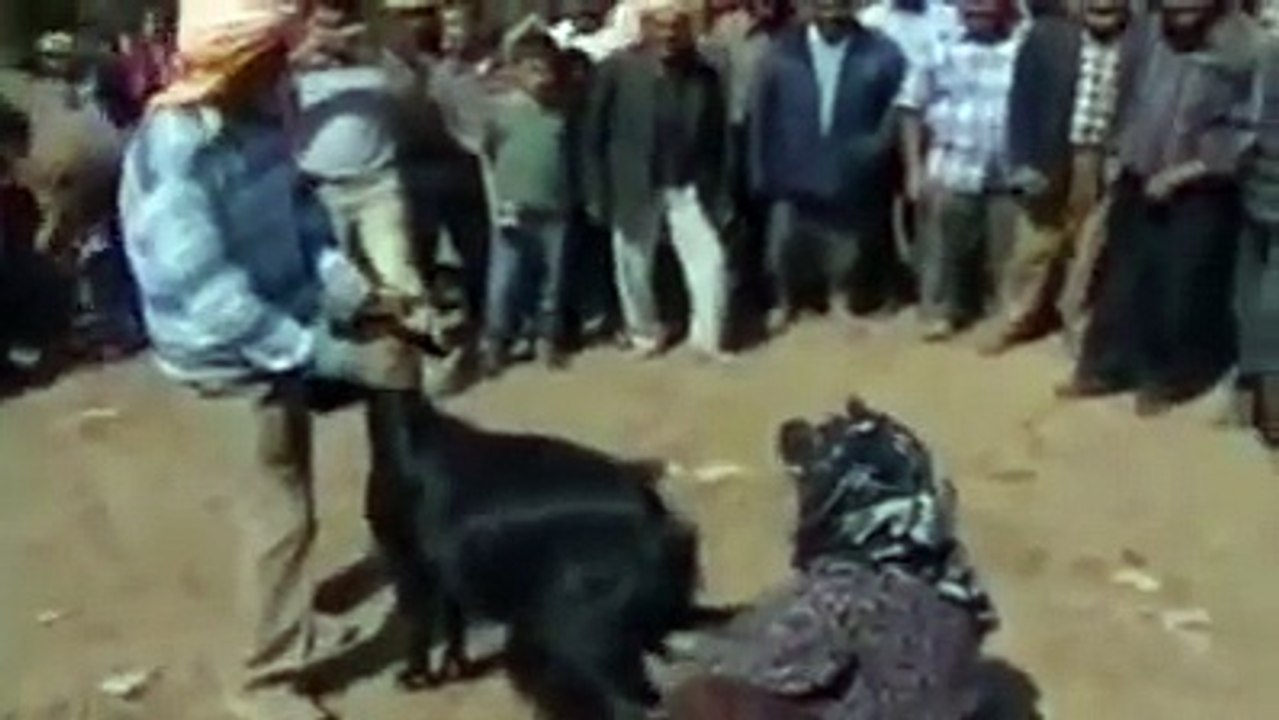 Gökgedik Köyü Çelik Çomak Kimler Oynadı