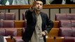 Murad Saeed's Complete Speech in National Assembly 09.03.2017