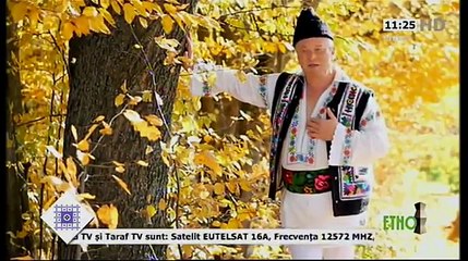 Constantin Bahrin - Pe un drum de piatra rara