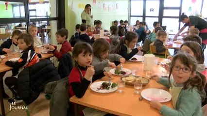 Agriculture : Le bio valorisé dans les cantines scolaires