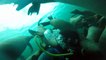Diving with very playful sea lions