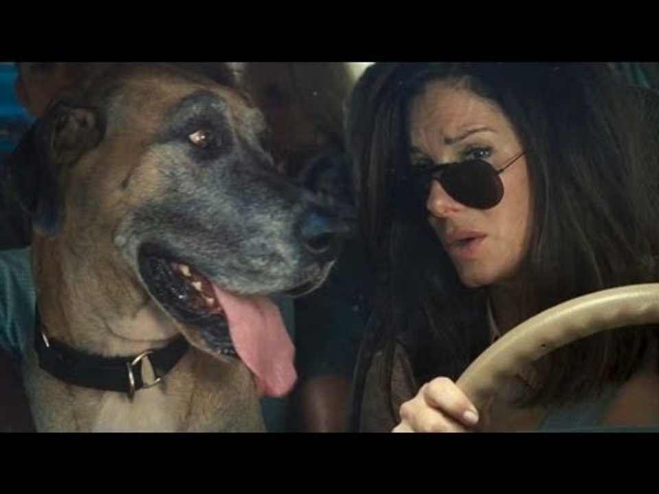 Les Flingueuses Bande Annonce VOST (Sandra Bullock & Melissa McCarthy)