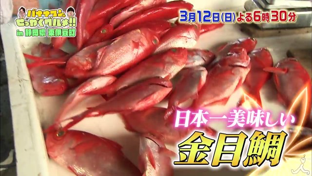 「全部120点!!」生駒里奈も大興奮!! 静岡県東伊豆町の絶品せっかくグルメ探し!! 3-12(日)『バナナマンのせっかくグルメ !』【TBS】
