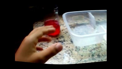 COMO SER UM COMPLETO RETARDADO BEM SIMPLES%21%21