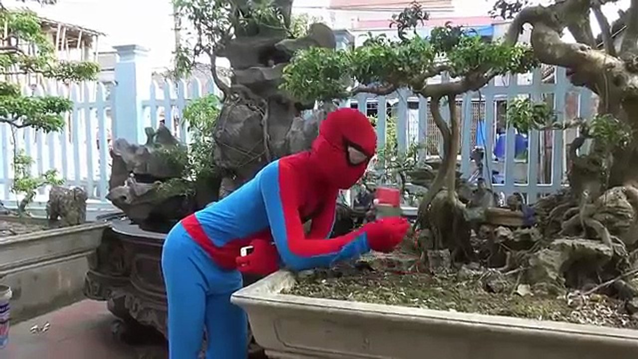 Frozen Elsa Horse racing vs Joker moto Spiderman fun in real life Superheroes spider горячий пинк