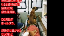 救急車の中まで付き添い、その後病院の前でホームレスの友人の回復を待ち続ける犬。