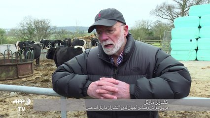 خروج بريطانيا من الإتحاد الأوروبي يهدد المنتجات المحمية