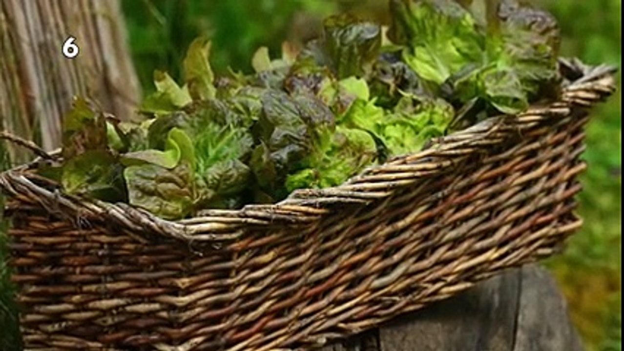 Dangerous Things || 50 MIND-BLOWING FACTS || 2017