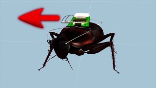 Cyborg cockroaches could be used as mapping tool
