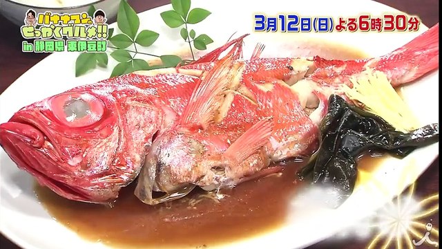 「全部120点!!」生駒里奈も大興奮!! 静岡県東伊豆町の絶品せっかくグルメ探し!! 3/12(日)『バナナマンのせっかくグルメ !』【TBS】