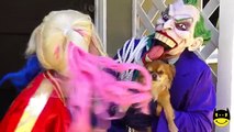 Harley Quinn vs Pink Spidergirl Snowcone prank vs spiderman & frozen Elsa vs Ariel vs Catw