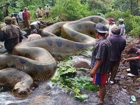 Top 10 Amazing Viral Videos 2017 Net Fishing at Siem Reap Province Cambodia Traditional Fishing