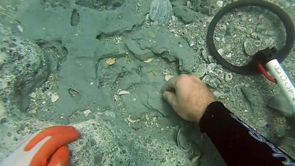 Okyanus Dibinde Hazine Bulan Adam şasırıyor ama mutluluktan