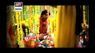 Chitta Kukkar Banere Te by Mustafa Zahid & Haroon Shahid (Pakistani couples vm)