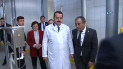 Bakan Çelik: "Ovaları Tarımsal Sit Alanı İlan Ediyoruz"