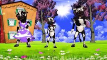 Toon Cows Little Boy Sunny little girl honey English Nursery Rhyme || 3D Animation Nursery Rhymes