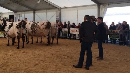 Fête de la Normandie 2017