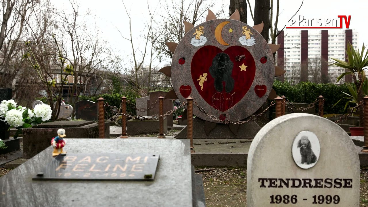 L'incroyable histoire du cimetière des chiens d'Asnières