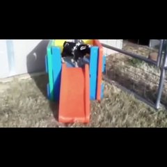 Ultimate funny Animals Try not to laugh