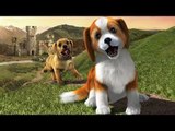 PS Vita Pets Trailer de Lancement VF