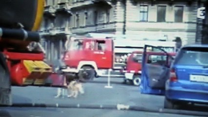 Kommissar Rex : "Le roi des pompiers"