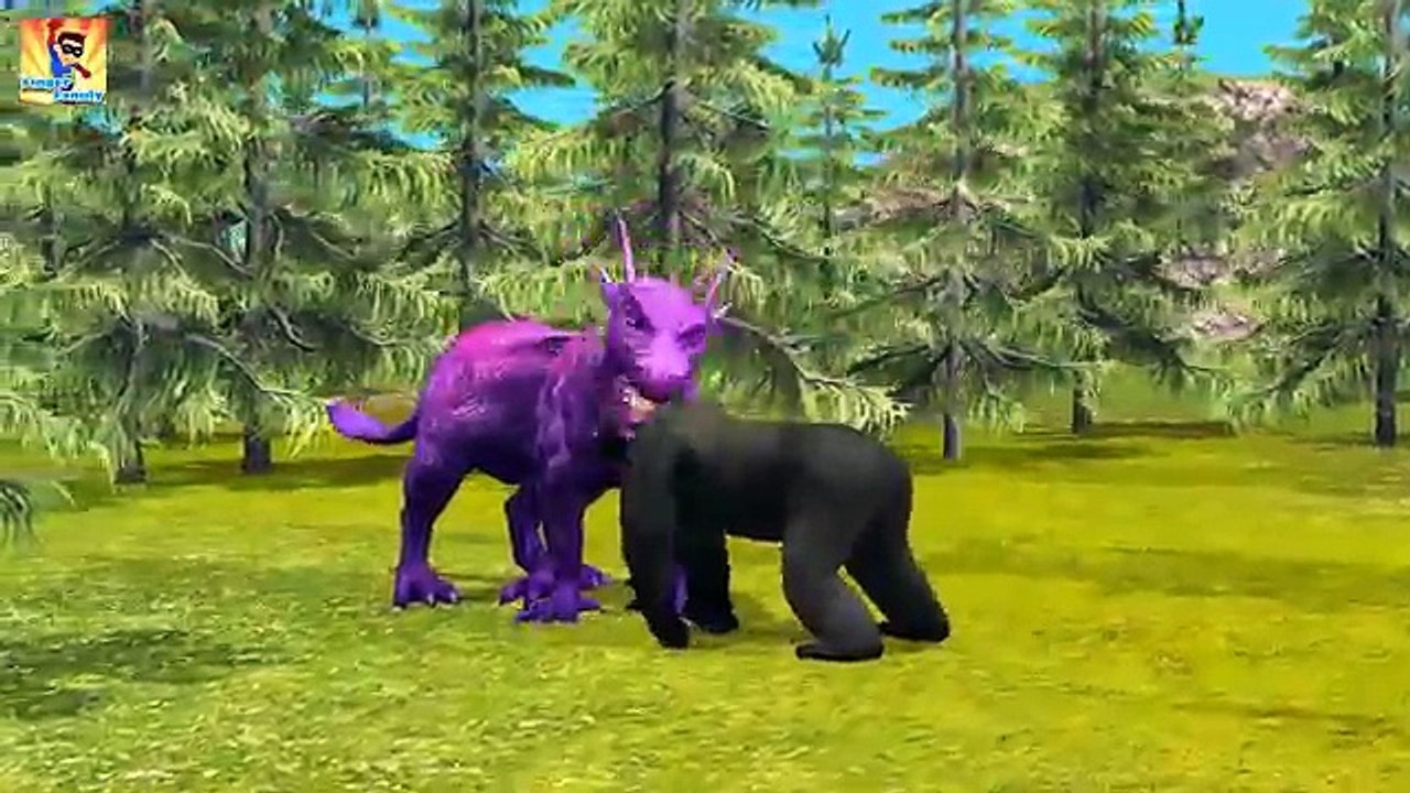 Vs Finger Family Collection | Animals Cartoons Finger Family Rhymes for Children