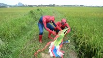DOBLE de Spiderman Paseos en Bicicleta , Piscina de Spiderman! w/ Verano Superhéroe en Real