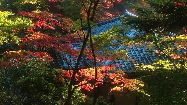 Притчи народов мира - Мудрость в одной строке