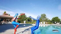 Ninja Turtles & T-rex/Godzilla vs Spiderman & Captain America | In Real Life Mutant Superh
