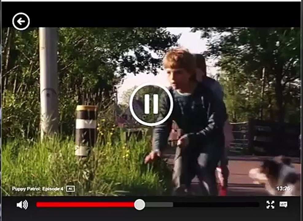 Puppy Patrol aflevering 7 (HD)nederlands gesproken