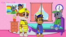 Paw Patrol Full Episodes - Paw Patrol Cartoon Nick Jr English - Animation Paw Patrol Playl