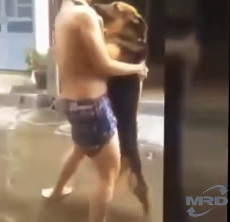 How to Teach Your Dog to Dance/ Funny Dogs Dancing Compilation | Dog Tricks